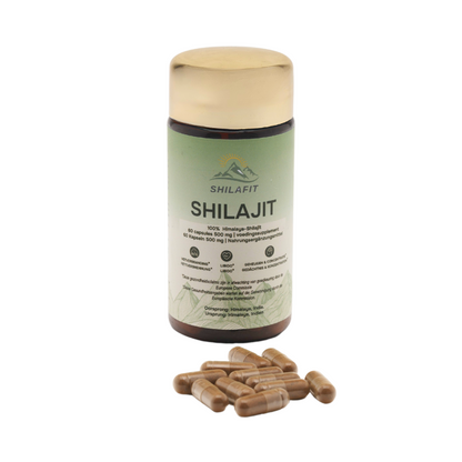 SHILAFIT® | Shilajit Easycaps Ergänzungsmittel