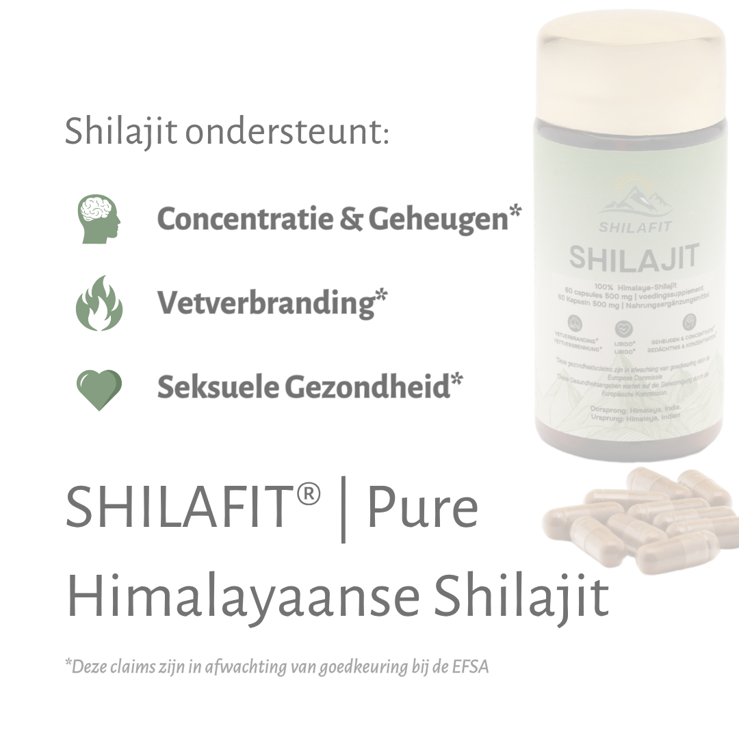 SHILAFIT® | Shilajit Easycaps Ergänzungsmittel